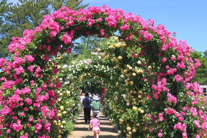Hamamatsu Flower Park & Lake Hamana Private Tour With Public Bus - Key Points