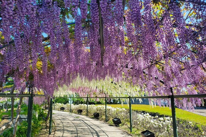 Hamamatsu Flower Park & Lake Hamana Private Tour With Public Bus - Transportation and Duration