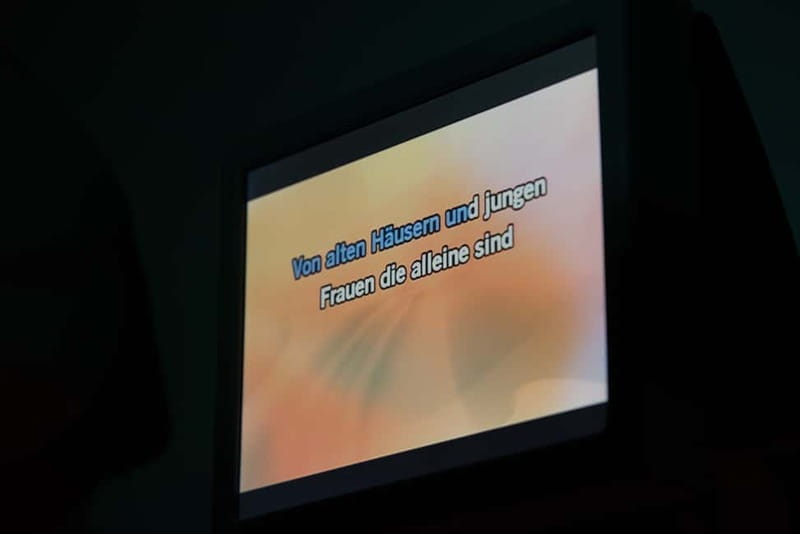 Hamburg: 1.5-Hour International Karaoke Bus Tour - Key Points / Takeaways