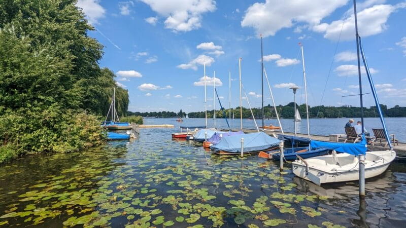 Hamburg among friends - Van tour - The Iconic Waterways and Neighborhoods