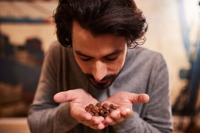 Hamburg: Chocoversum Guided Tour with Tastings - Who Will Love This Tour?