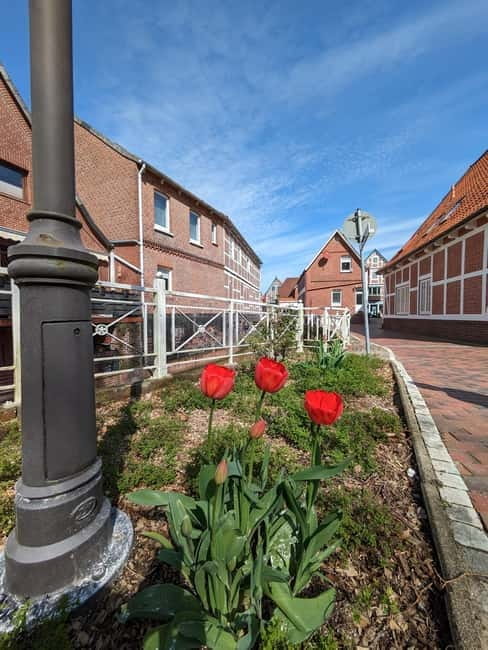 Hamburg Country Side - Altes Land - Key points / Takeaways