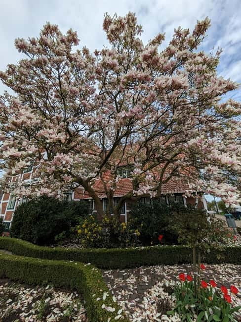 Hamburg Country Side - Altes Land - Visiting the Traditional Village: Charm and Culture