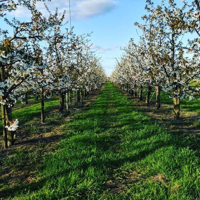 Hamburg Country Side - Altes Land - Flexibility and Personal Time