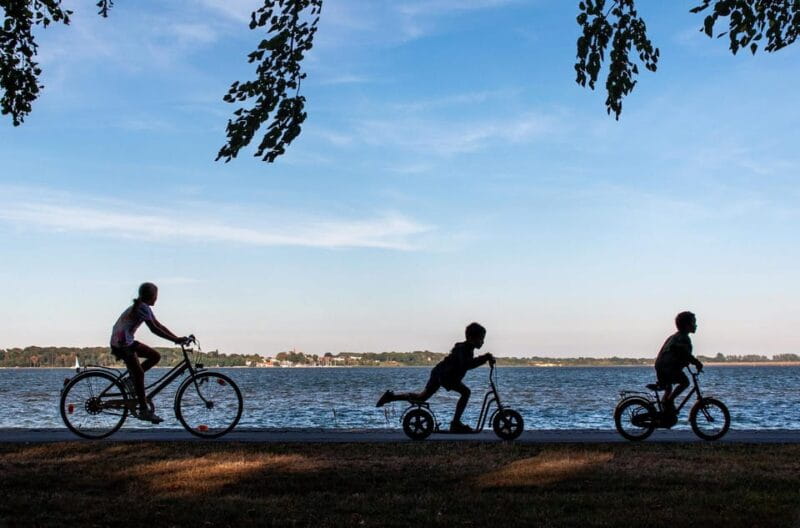 Hamburg: English Bike Tour - Around the Outer Alster Lake - Who Will Enjoy This Tour?
