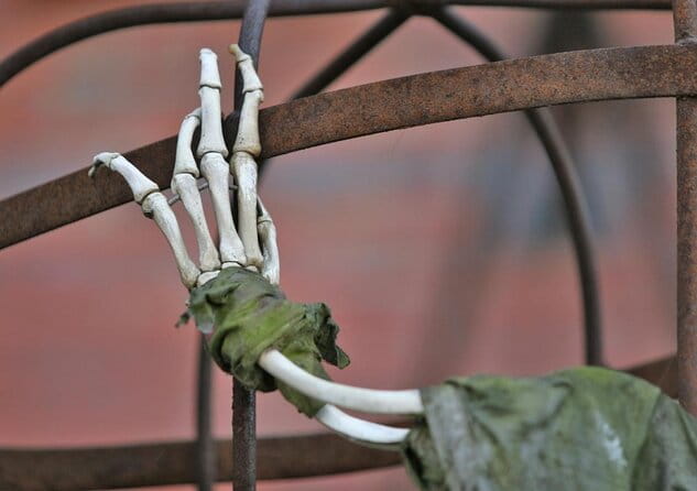 Hamburg Half Day Walking Tour with a Local: 100% Personalized & Private - Frequently Asked Questions