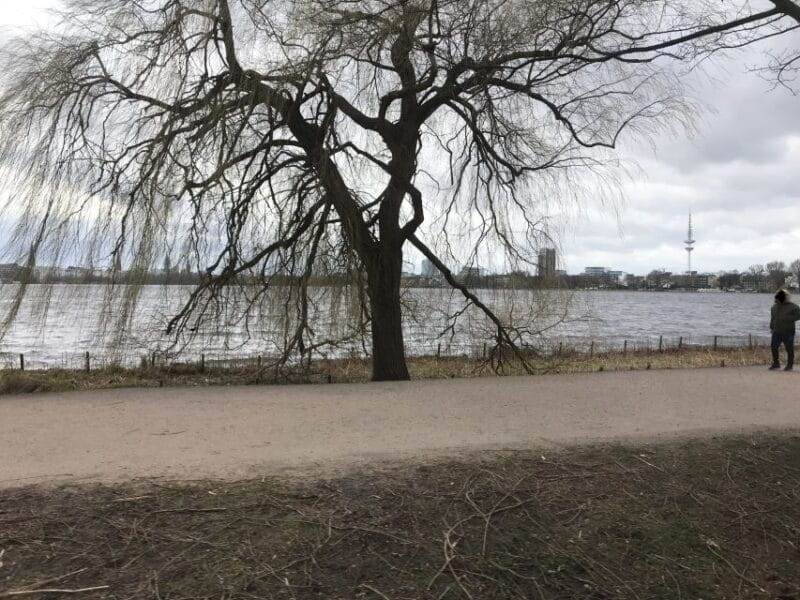 Hamburg: Hop-On/ Hop-Off Sightseeing Tour Classic Line - Frequently Asked Questions