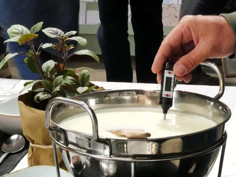 Hamburg: Mozzarella course with accompanying wines (Alte Schmiede Ottensen) - Final Thoughts: A Unique Taste of Hamburg’s Culinary Skill