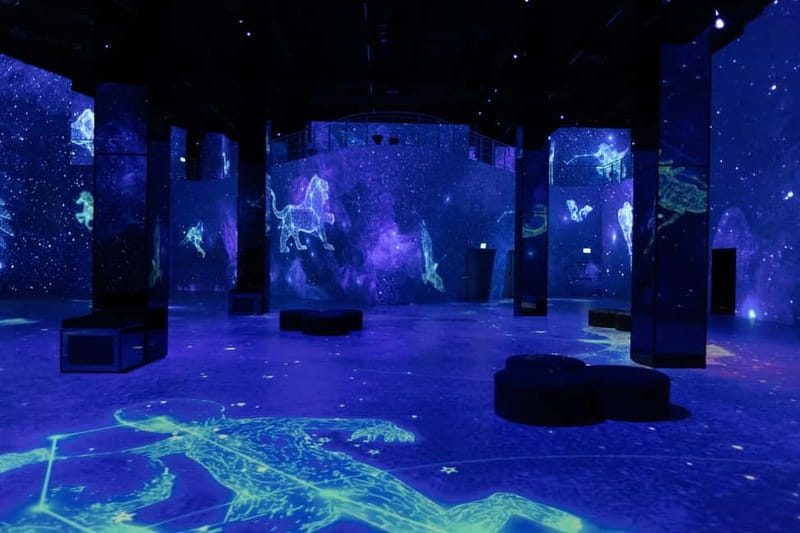 Hamburg: Port of Lights Cosmos Ticket - The Practicalities: Price, Logistics, and Tips