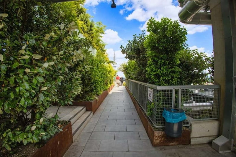 Hamburg: St. Pauli Green Bunker Tour in German - Key Points / Takeaways