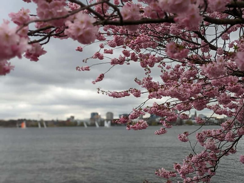 Hamburg Van Tour - Spring Special - Final Thoughts