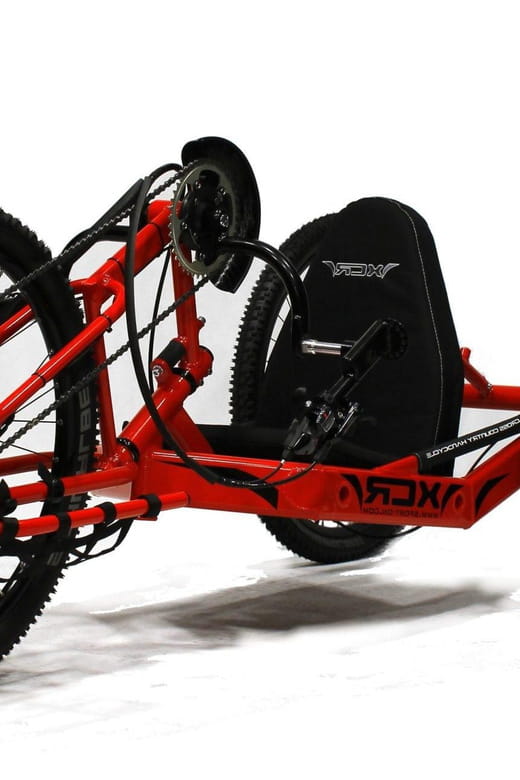 HANDBIKES TOURS - Who Would Love This?