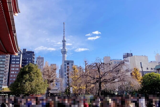 Haneda Layover Tokyo Private Tour by Public Transportation - Booking Information