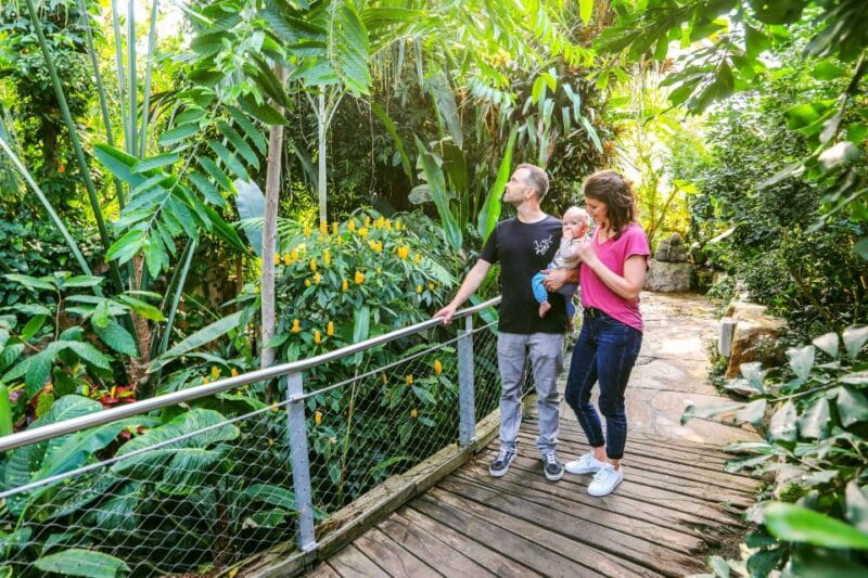 Hanover: SEA LIFE Entry Ticket - Who Will Love This Experience?