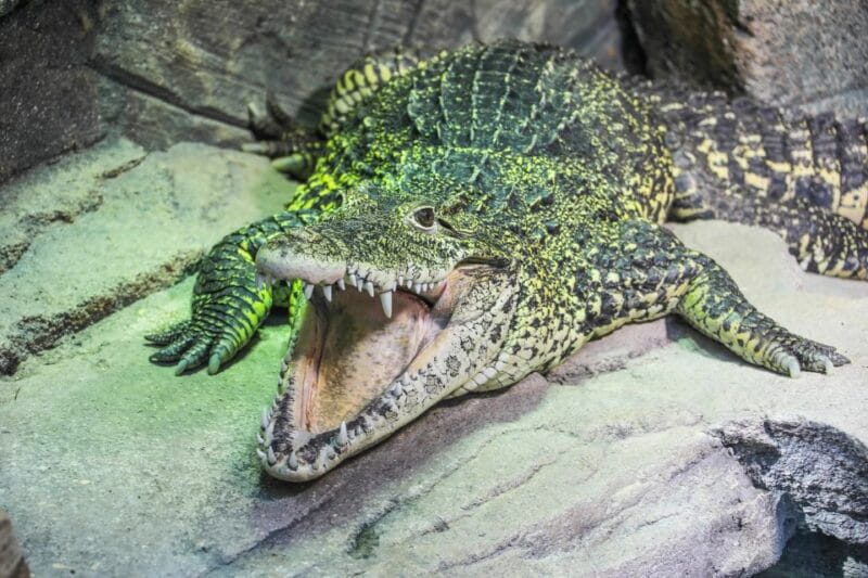 Hanover: SEA LIFE Entry Ticket - FAQ