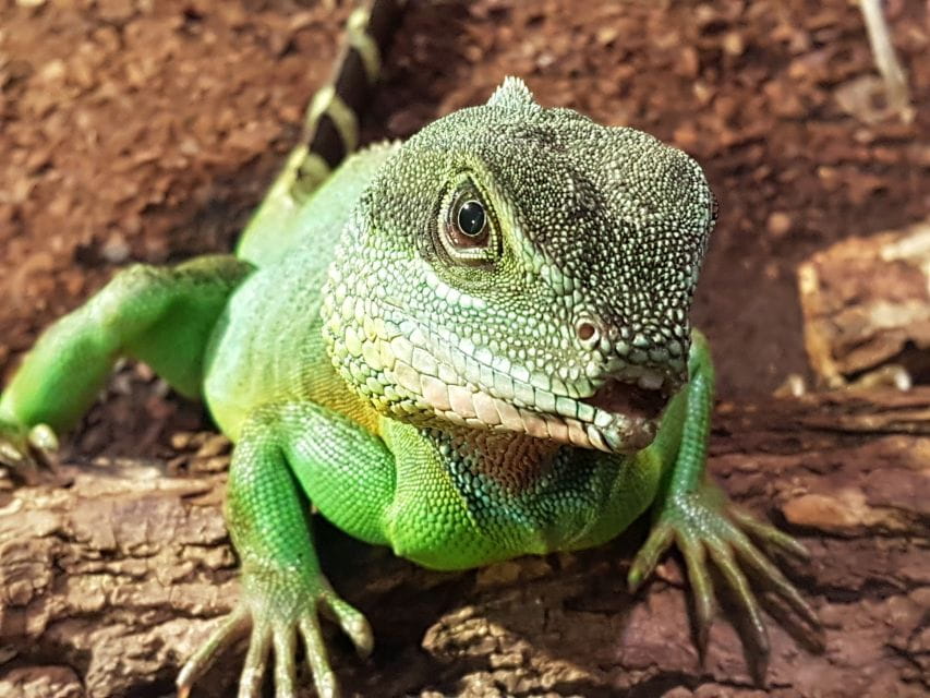 Hanover: SEA LIFE Entry Ticket - Directions by Car