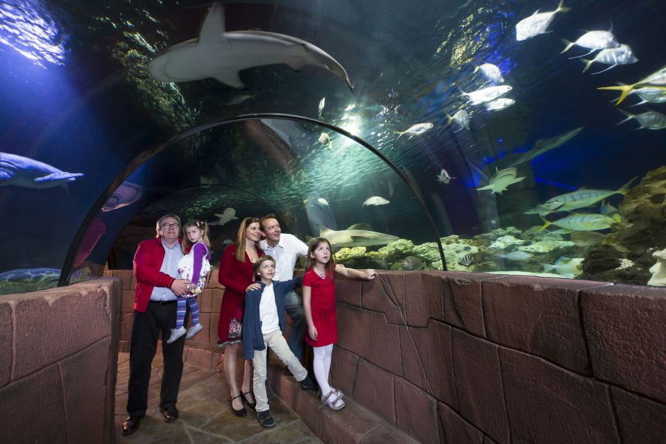 Hanover: SEA LIFE Entry Ticket - Booking and Payment Options