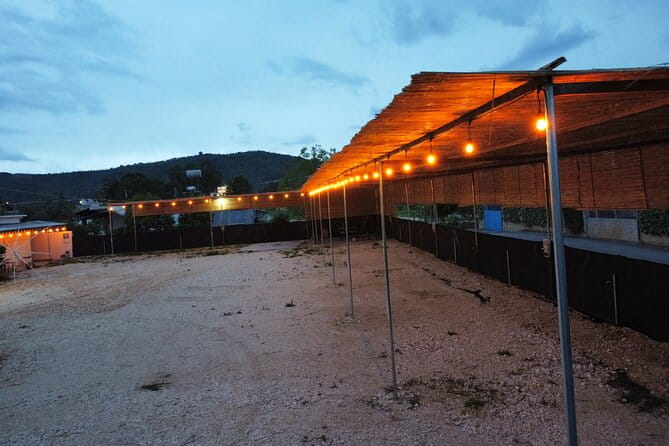 Happy Camping Berat - Price and Value Analysis