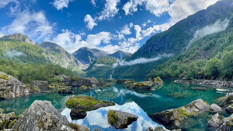 Hardangerfjord 4-Course Dinner with Cider Tasting - Price and Logistics