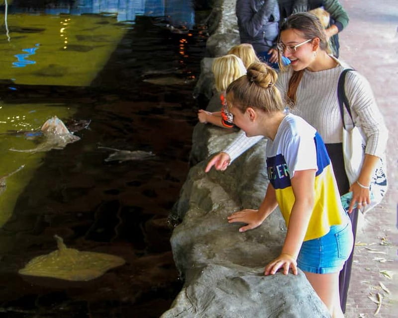 Harderwijk: Dolfinarium Entry Ticket - Who This Experience Is Best For