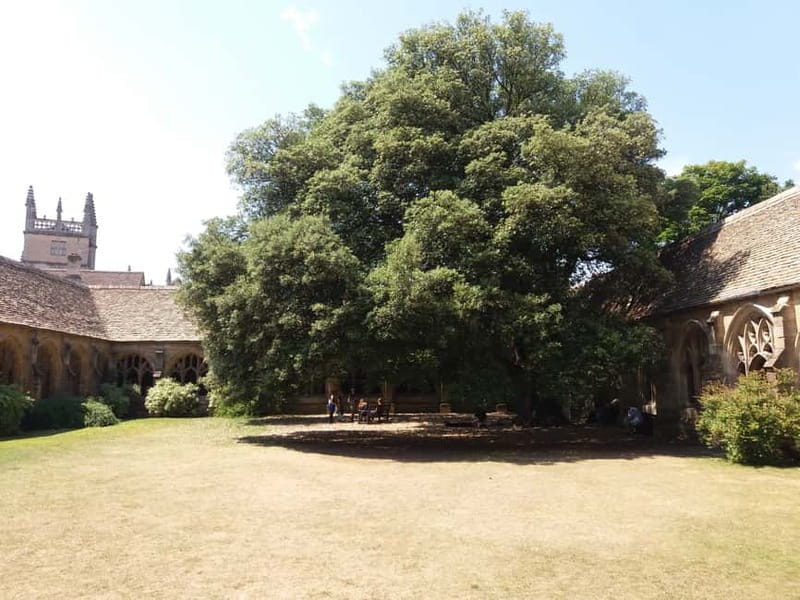 Harry Potter Private Tour New College & Divinity School - Exploring the Heart of Oxford’s Harry Potter World