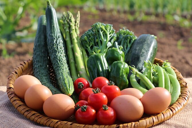 Harvest Experience in Akaigawa With Lunch Freshly Picked Veggies - Itinerary and Menu