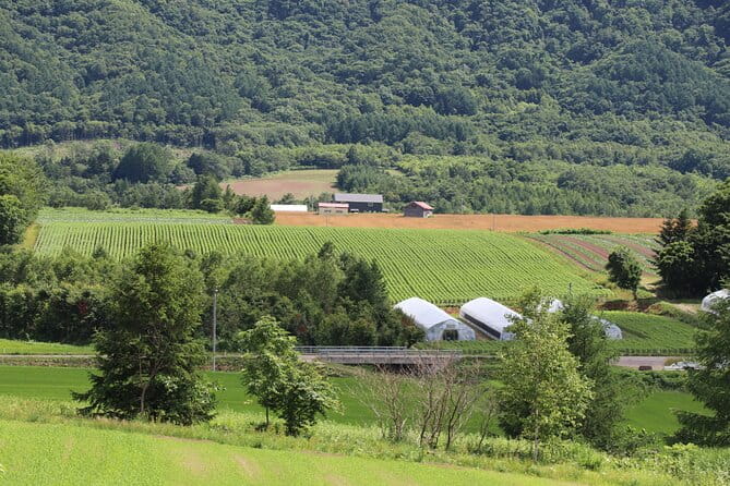 Harvest Experience in Akaigawa With Lunch Freshly Picked Veggies - Exploring the Akaigawa Region