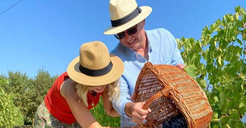 Harvest, Stomping & Tours - Key points / Takeaways