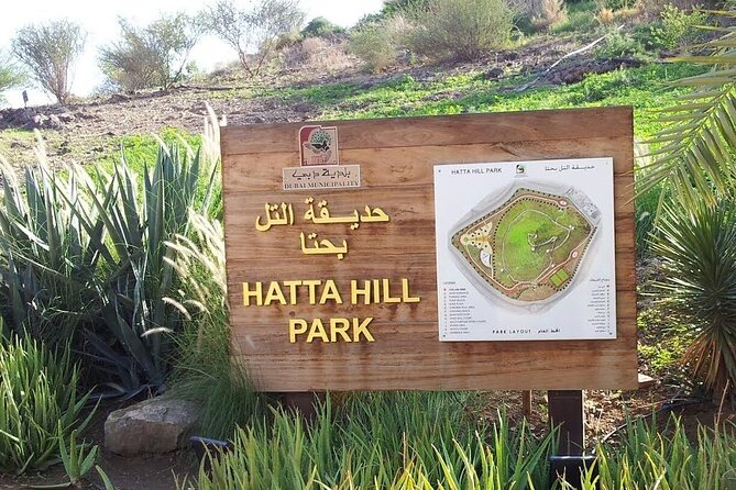 Hatta Heritage Village Tour From Dubai With Kayaking - Kayaking at Hatta Dam
