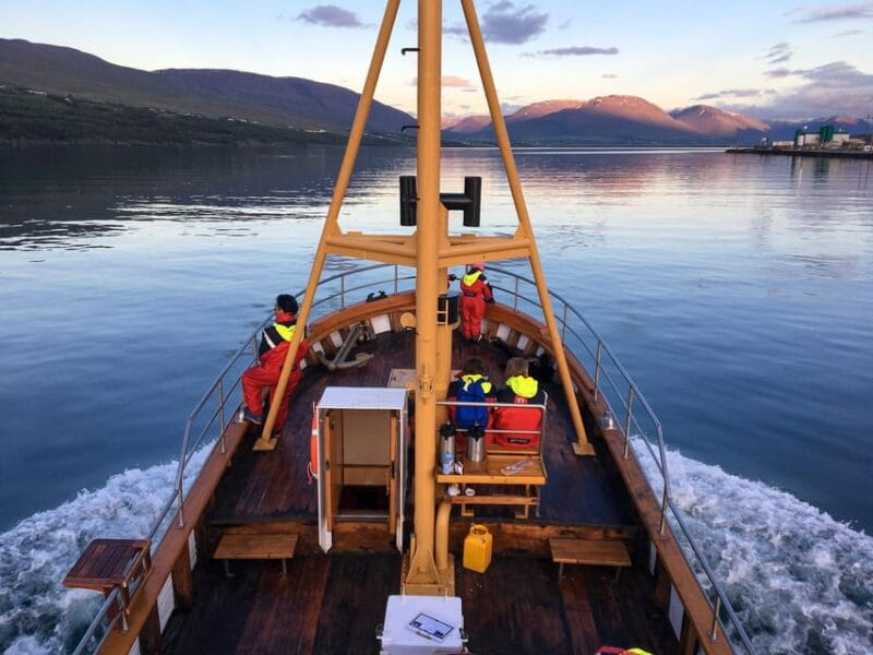 Hauganes: Whale Watching North Iceland - Key Points / Takeaways