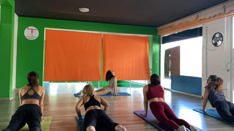 Healthy Istanbul Morning: Yoga and Healthy Turkish Breakfast - Authenticity, Hosts, and the Experience