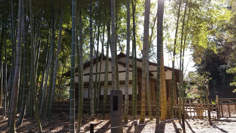 Heart of Yokohama Walking: Experience Hill Area - Sankeien Garden