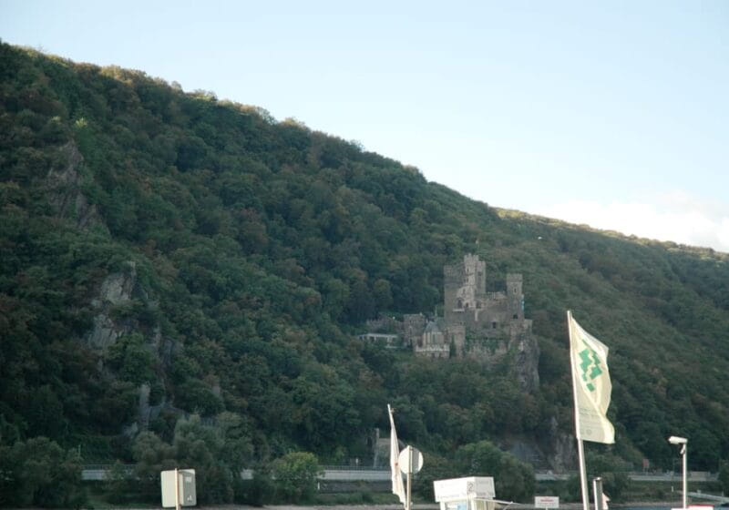 Heidelberg and Rhine Combination Tour from Frankfurt - Practical Tips for Making the Most of Your Day