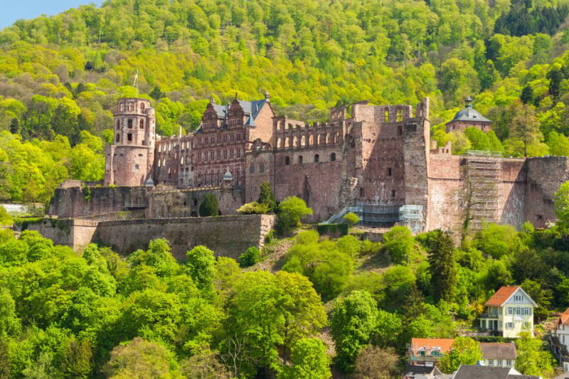 Heidelberg and Rhine Combination Tour from Frankfurt - Frequently Asked Questions