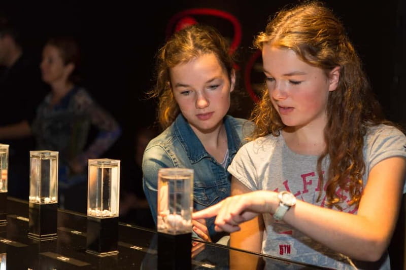 Heidelberg: BODY WORLDS Museum Entry Ticket - Key points / Takeaways