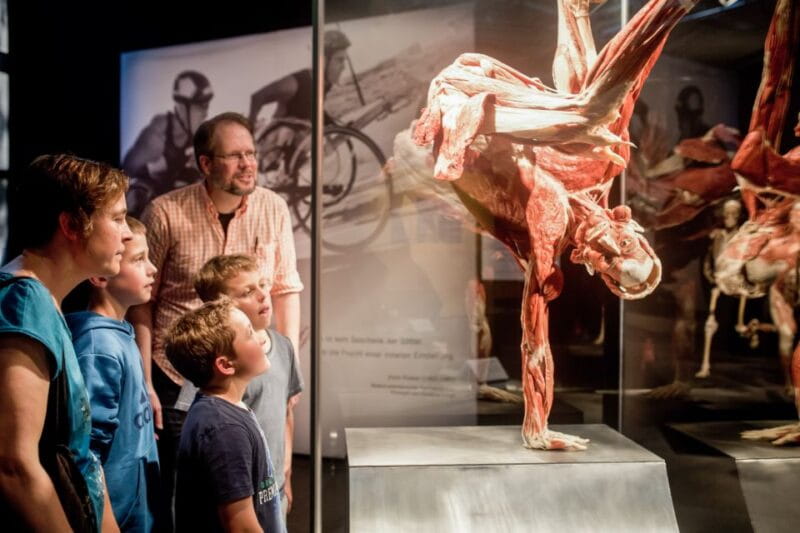 Heidelberg: BODY WORLDS Museum Entry Ticket - Who Will Love This?