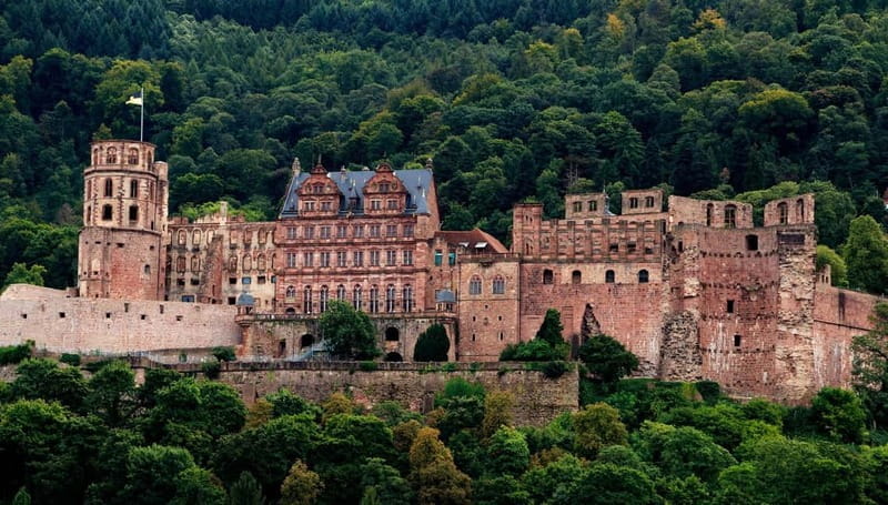 Heidelberg castle and old town private guided tour - Key points / Takeaways