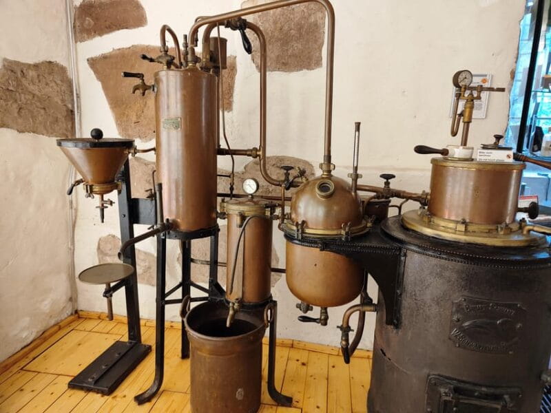 Heidelberg Castle - The Highlights in 1 h EXPRESS TOUR - The German Pharmacy Museum and Other Highlights