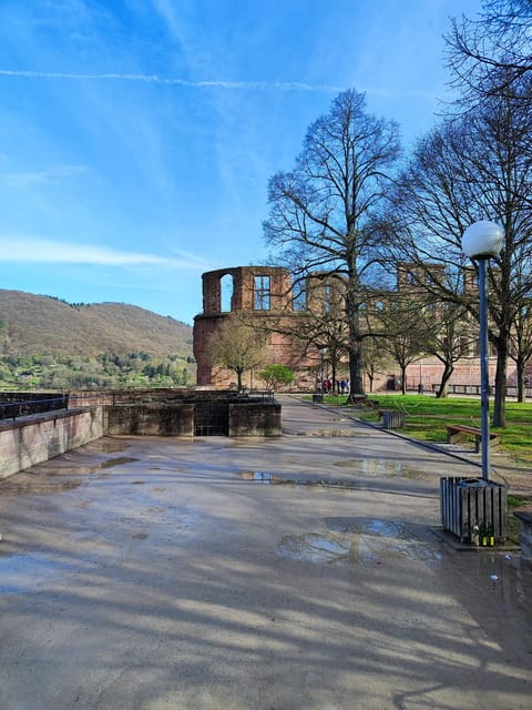Heidelberg Castle - The Highlights in 1 h EXPRESS TOUR - Who is This Tour Perfect For?