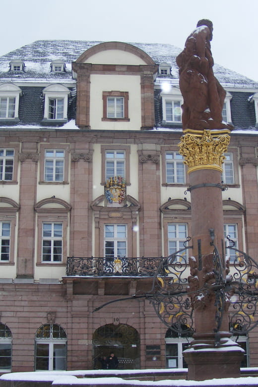 Heidelberg: Craft Beer and Street Food Tour - Price, Logistics, and Practical Tips