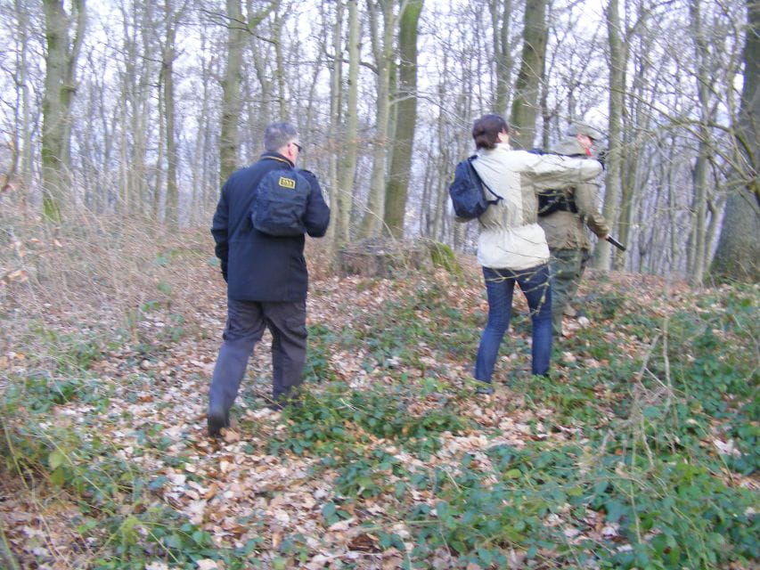 Heidelberg Tour: Witches Dance and Monks Death - Key Points