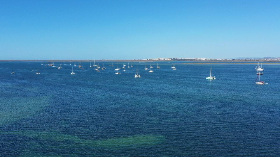 Hello: Ria Formosa Boat Cruise to Armona and Culatra - Armona Island Activities