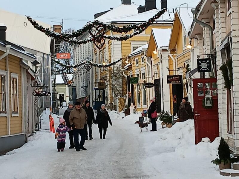 Helsinki And Porvoo Tour by Private Car with Personal Guide - Who Will Benefit Most?