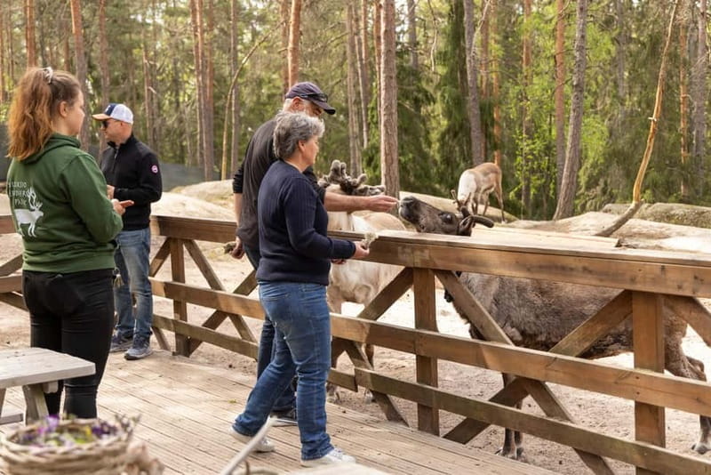 Helsinki: Buggy Ride, Reindeer Farm Visit, and Picnic - Exploring the Heart of Finnish Wilderness: A Detailed Look