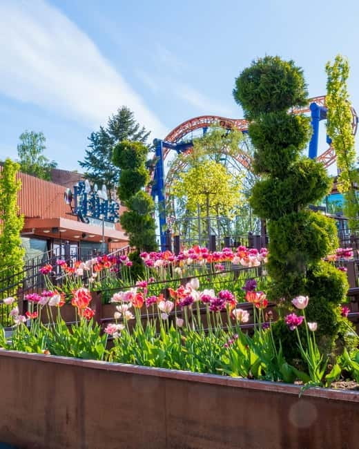 Helsinki: Linnanmäki Amusement Park - Who Should Visit Linnanmäki?