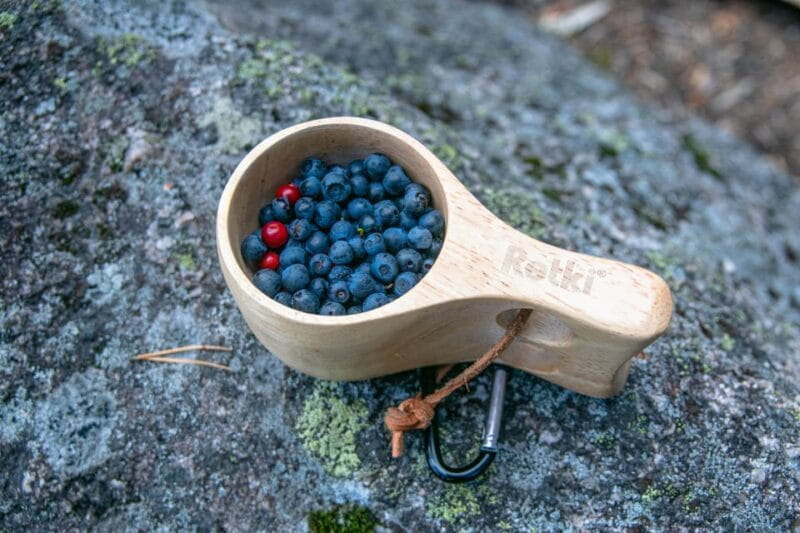 Helsinki: Nuuksio National park hiking with campfire lunch - Discovering Nuuksio: A Walk Through Finnish Wilderness