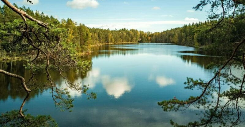 Helsinki: Nuuksio National park hiking with campfire lunch - Final Thoughts