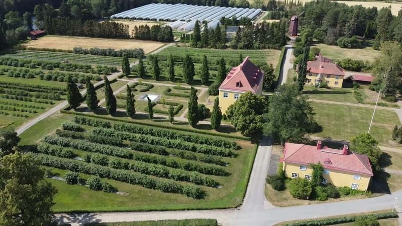 Helsinki: Private Visit to Finnish Berry Winery with Tasting - Who Should Consider This Tour?