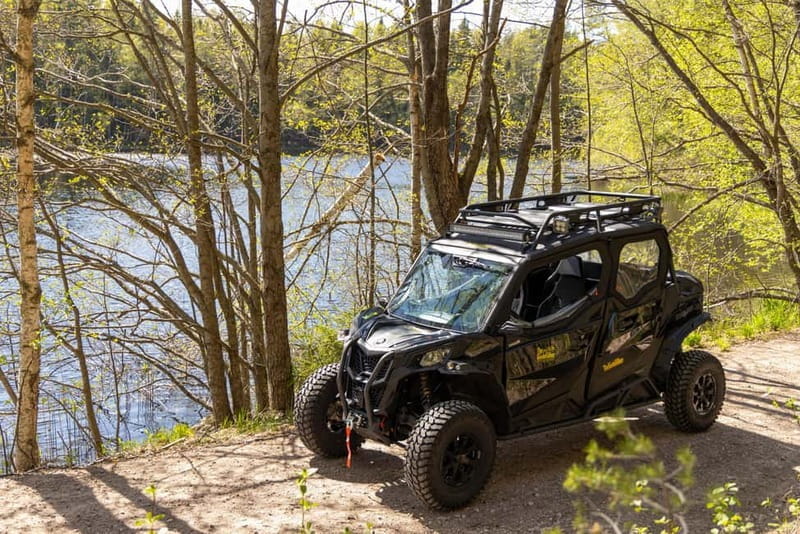 Helsinki: Reindeer Park visit and Buggy Adventure - An In-Depth Look at the Helsinki Reindeer and Buggy Tour