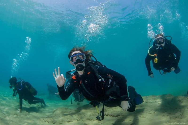 Heraklion: Basic Diver for Beginners - Who Will Love This Experience?